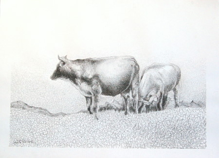 2012 Gentile Polo - Latfons - mucche al pascolo