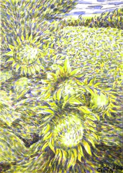 2016 Gentile Polo - I girasoli/The sunflowers