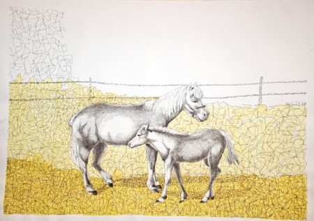 Gentile Polo - Maternità 35x50